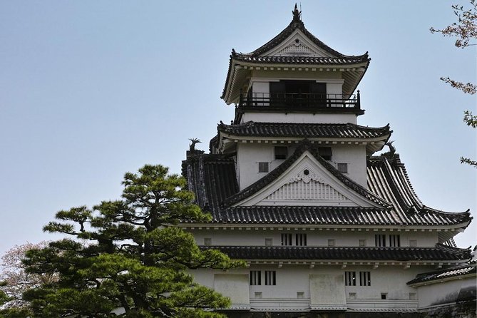 1-Day Kochi Highlights Tour with local guide - Stop 2: Hirome Ichiba, a Market Hall Where Lunch Gets Easy
