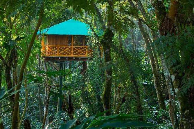 2 Nights Munnar Treehouse Escape with Private Car- Iris Holidays - Price and what $215.67 per person really buys