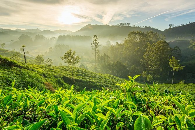 4 Days Best of Kerala Tour with Private Houseboat, Sightseeing & Car - How This 4-Day Kerala Route Puts You on Rails