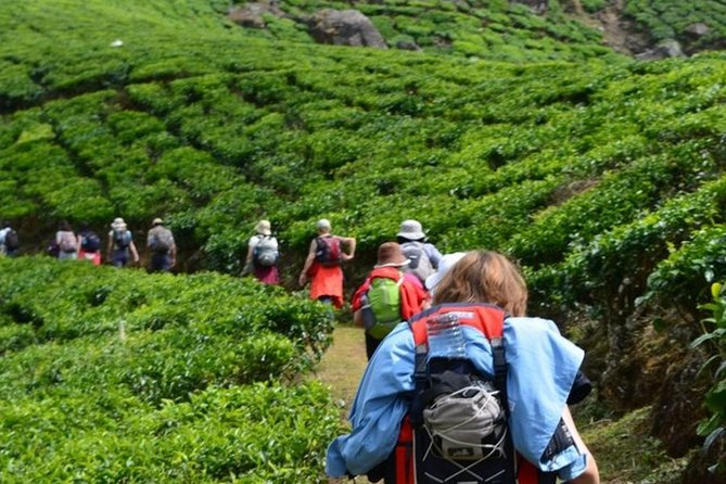 4 Days Best of Kerala Tour with Private Houseboat, Sightseeing & Car - Day 3: Kumarakom to the Overnight Backwaters Houseboat (22 Hours)