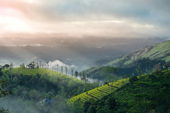 4 Days Private Kerala Tour -Kochi, Munnar, Thekkady with 3<em> Hotel – Key highlights at a glance’ /></p>
<ul>
<li><strong>Private, air-conditioned vehicle</strong> with driver, fuel, tolls, and parking handled</li>
<li><strong>Cheeyappara and Valara Waterfalls</strong> near Munnar for short stops and strong photos</li>
<li><strong>KDHP Tea Museum and Munnar gardens</strong> to understand how tea is grown and processed</li>
<li><strong>Echo Point, Kundala Lake, and Mattupetty Dam</strong> for viewpoints around the hills</li>
<li><strong>Periyar Wildlife Sanctuary by Periyar Lake</strong> with real wildlife odds</li>
<li><strong>Fort Kochi history day</strong>: Chinese Fishing Nets, Princess Street, and Santa Cruz Cathedral Basilica</li>
</ul>
<h2 id="arrival-in-kochi-and-the-long-green-drive-to-munnar">Arrival in Kochi and the long green drive to Munnar</h2>
<p><img src=