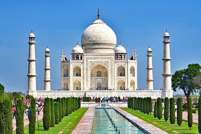 5 Day Private Tour of Tigers, Taj Mahal and Palaces from Cochin - Two chances at Ranthambore: morning and afternoon tiger safaris