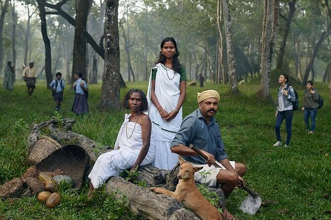 5 Days Kerala Tour with Private Car Houseboat Munnar and Thekkady - Key things I’d pay attention to