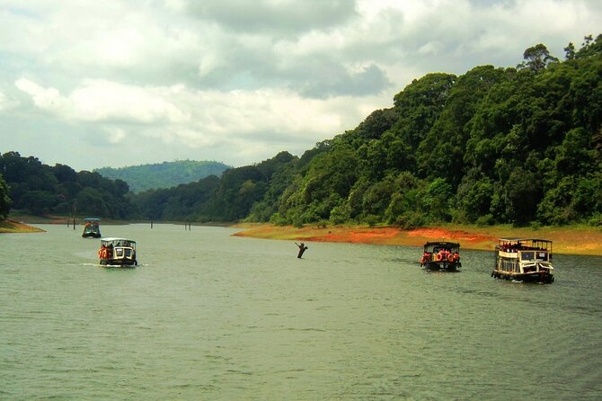 5 Days Kerala Tour with Private Car Houseboat Munnar and Thekkady - Day 4: Alleppey houseboat cruise with meals included