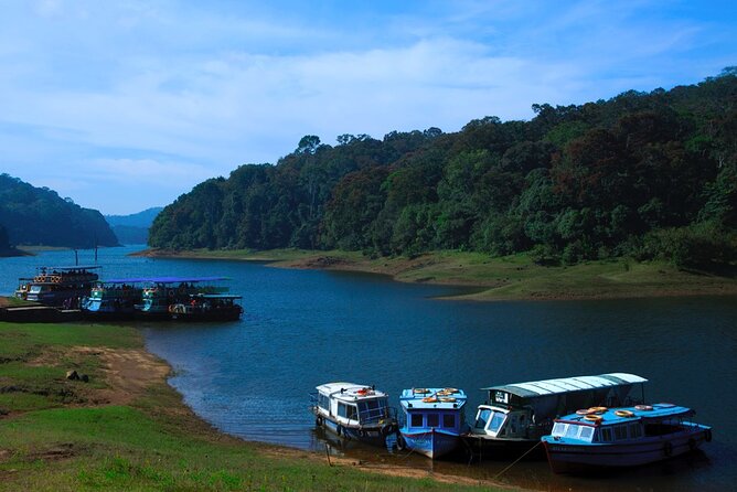 5 Days Luxury Kerala Tour with Houseboat Experience - Day 1: Munnar waterfalls, tea plantations, and a hotel reset