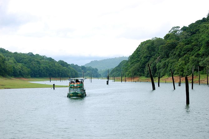 5 Days Private Kerala Tour Package by Saffron India Tours - Day 2 in Munnar: Rajamalai (Eravikulam), Mattupetty Dam/Eco Point, and Kannan Devan Tea Museum