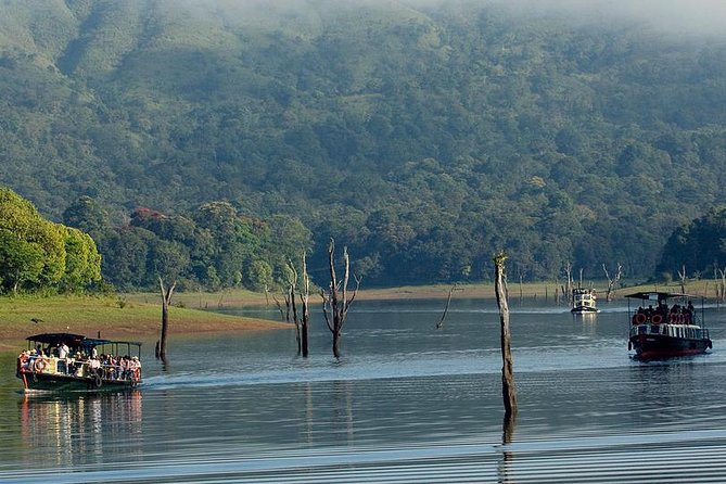 5 Days Private Kerala Tour with Houseboat by Sanguine Holidays - A smart 5-day Kerala loop starting in Kochi