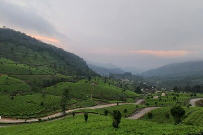 5 Days Private Kerala Tour with Houseboat by Sanguine Holidays - Munnar day: dams, Echo Point, tea, and Eravikulam’s Nilgiri tahr country