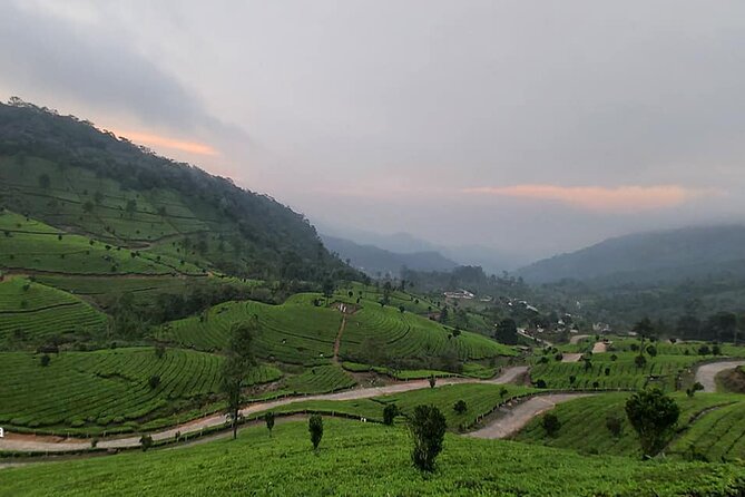 5 Days Private Kerala Tour with Houseboat by Sanguine Holidays - Munnar day: dams, Echo Point, tea, and Eravikulam’s Nilgiri tahr country