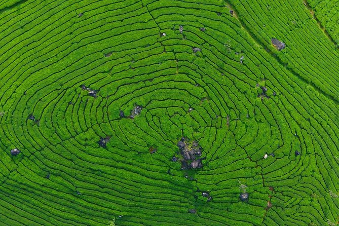8 Days Kerala Private Tour (3 Star) with Munnar, Houseboat & Cab- Iris Holidays - The Kochi to Kanyakumari logic: why this route makes sense