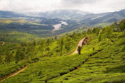 9 Days Private Exotic Kerala Tour - The Munnar drive: cooler air and tea-country timing