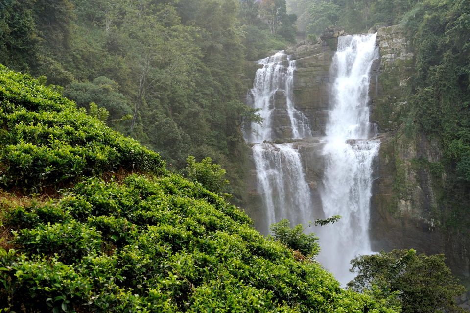 A Day in Munnar: Nature, Culture, and Local Flavor - Vattapara Waterfalls (sometimes listed as Viripara): the calm finish