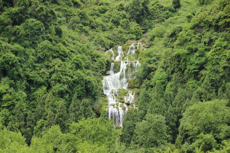 A Day in Munnar: Nature, Culture, and Local Flavor - Price and value: what $112 buys you in Munnar