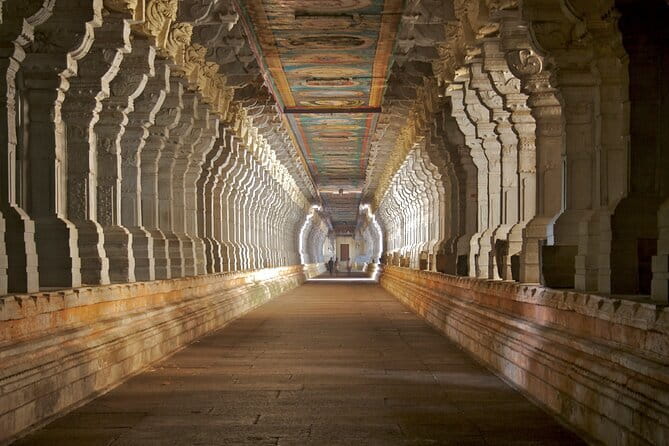 A Guided Cultural Immersion:Meenakshi Temple’s Night Ceremony - What the Guide Helps You Spot (Beyond the Obvious)