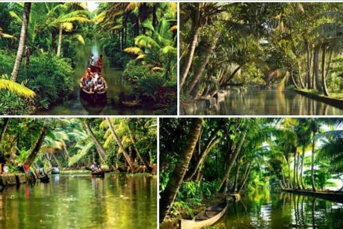 Alasr Lakeview Cruise /Hourly Trips to Backwater of Alleppey - Key highlights at a glance