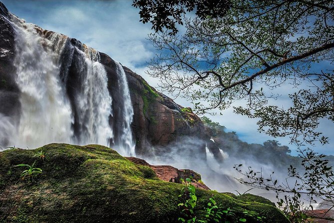 Athirappilly & Vazhachal Waterfalls Private Day Tour from Kochi - Key Things You’ll Notice on This Tour