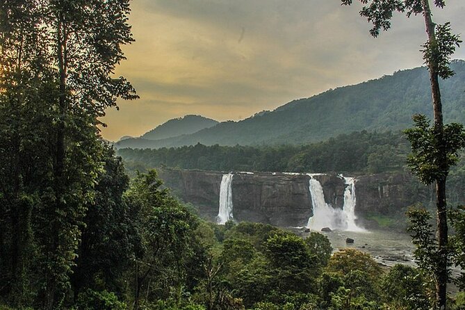 Athirappilly & Vazhachal Waterfalls Private Day Tour from Kochi - Timing and Crowds: What 6 Hours Feels Like in Real Life