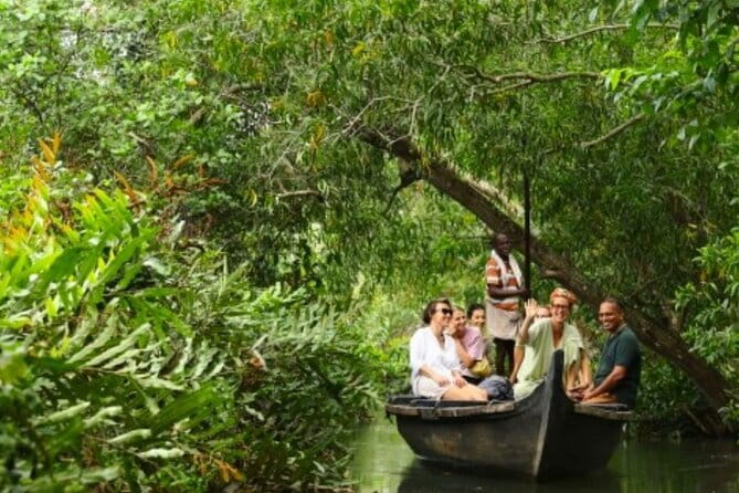Backwater Tour from Cochin - Quiet Backwaters on Non-Motor Boats: What That Actually Changes for You
