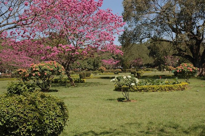 Bangalore Heritage and Cultural Walking Tour - Key Highlights You’ll Actually Feel