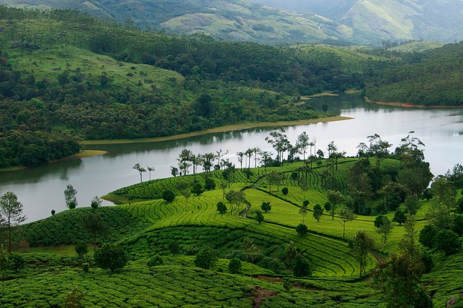 Best of Kerala Tour Package 7 nights / 8 days by Sanguine Holidays - The Big Idea: Kochi to Trivandrum Without the Logistics Headache