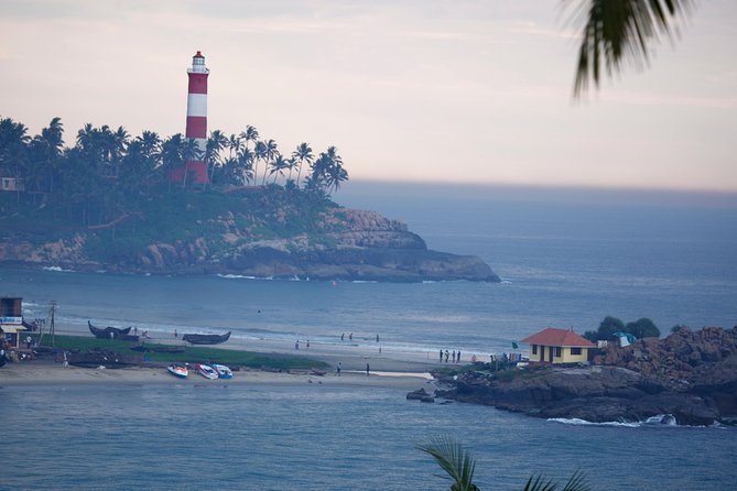 Best of Kerala Tour Package 7 nights / 8 days by Sanguine Holidays - Periyar Wildlife Sanctuary: Why the Boat Ride Is the Main Event