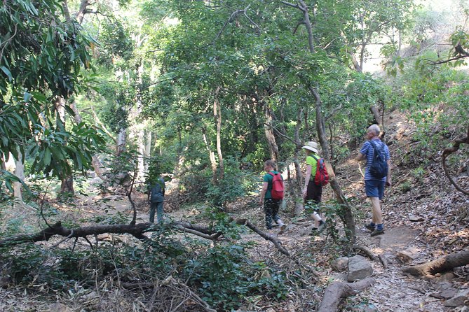Chinnar wild valley experience day tour ( By Munnar Info) - Eravikulam National Park: your best chance at Nilgiri Thar