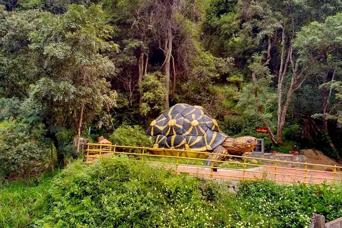 Chinnar wild valley experience day tour ( By Munnar Info) - How to get the most out of 7–8 hours in the hills
