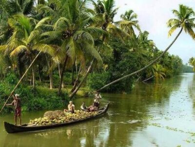 Cochin : Alleppey/Alappuzha Backwater Canoe (Shikara) Cruise - The Day Runs Like This: From Cochin Port to Alappuzha Backwaters