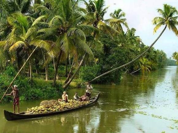 Cochin : Alleppey/Alappuzha Backwater Canoe (Shikara) Cruise - The Day Runs Like This: From Cochin Port to Alappuzha Backwaters