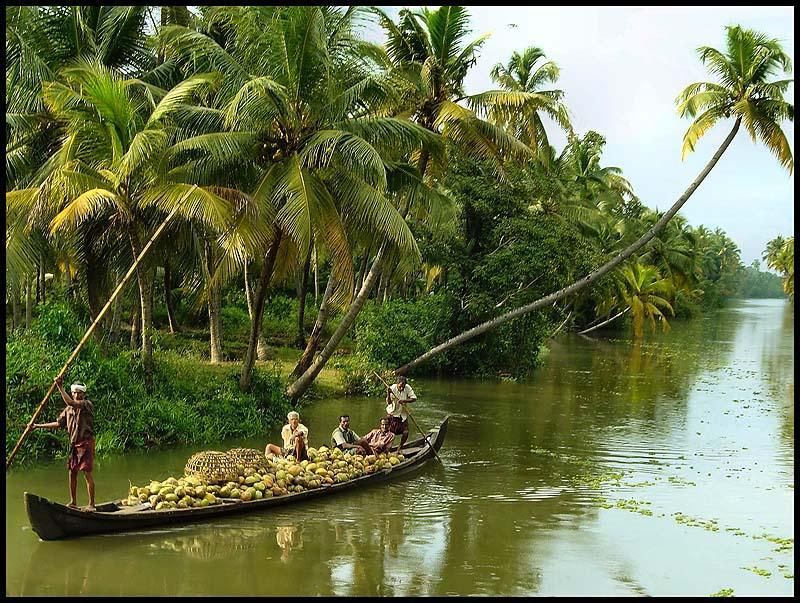 Cochin: Alleppey Backwater Private Day Cruise by Houseboat - Cochin to Alleppey: the transfer that sets the pace