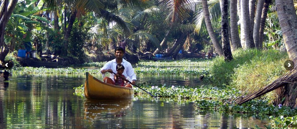 Cochin: Backwater Village Eco Boat Cruise with Lunch - Who should book this backwater eco cruise, and who should skip it
