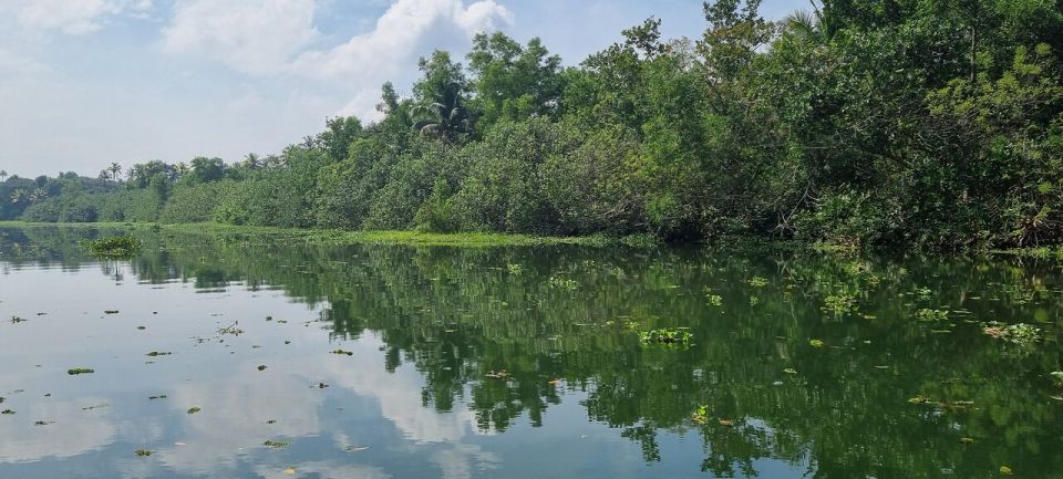 Cochin: Backwater Village Eco Boat Cruise with Lunch - Small tips to make your day smoother