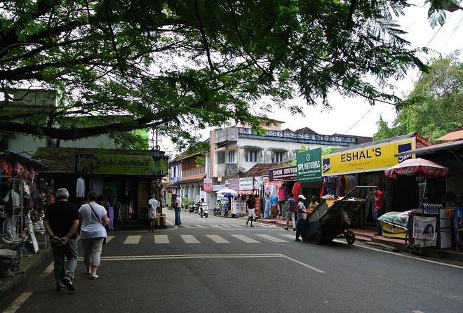 Cochin City or Backwater Shore Excursions from Cruise Terminal - Key points before you go