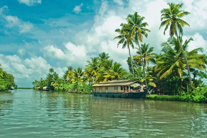 Cochin City or Backwater Shore Excursions from Cruise Terminal - A Port Day That Starts at the Cruise Terminal Pier