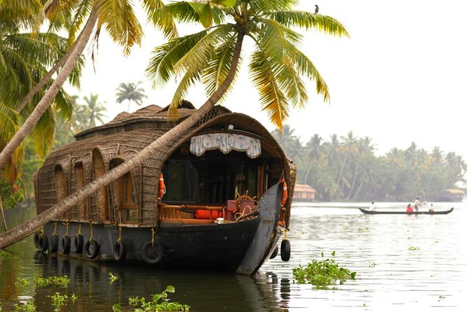 Cochin City or Backwater Shore Excursions from Cruise Terminal - Getting There and Back: traffic is the real itinerary