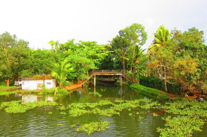 Cochin Shore Excursions from Cruise Terminal - Price and logistics: is $85 good value from a cruise port?