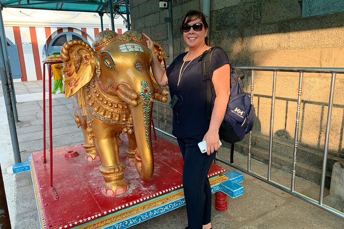 Exploring Mylapore: A Cultural & Historical Walking Tour - What the Guide Adds (This Is Where Value Lives)