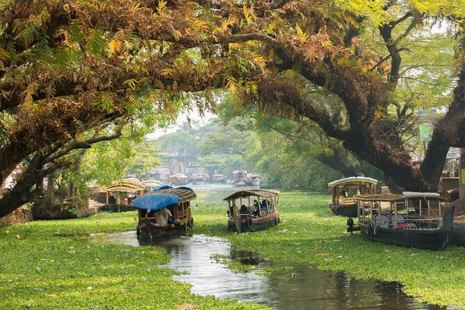 Fort Kochi Tour by Tuk Tuk for Cruise Passengers - Paradesi Synagogue and Jew Town shopping lanes