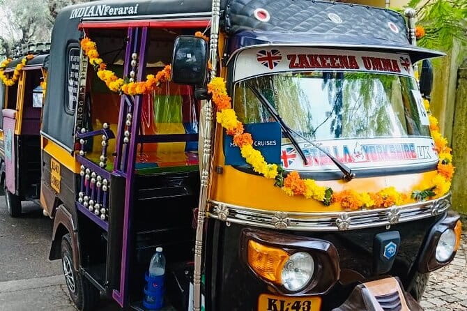 Fort Kochi Tour by Tuk Tuk for Cruise Passengers - Chinese fishing nets: a 14th-century sight you can actually watch