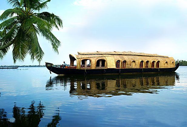 From Kochi: 2-Day 1-Night Alappuzha Private Houseboat Cruise - Alappuzha backwaters: why people do an overnight