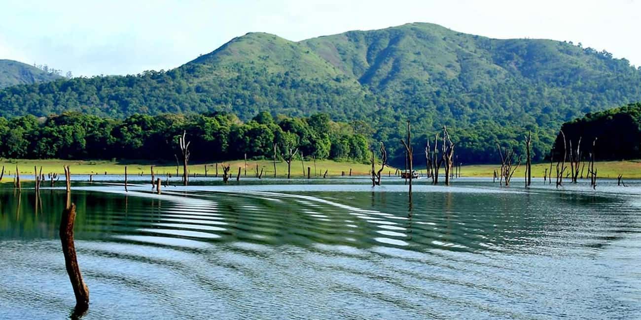 From Kochi: 3-Day Periyar Wildlife Sanctuary Tour - Key things that make this tour work