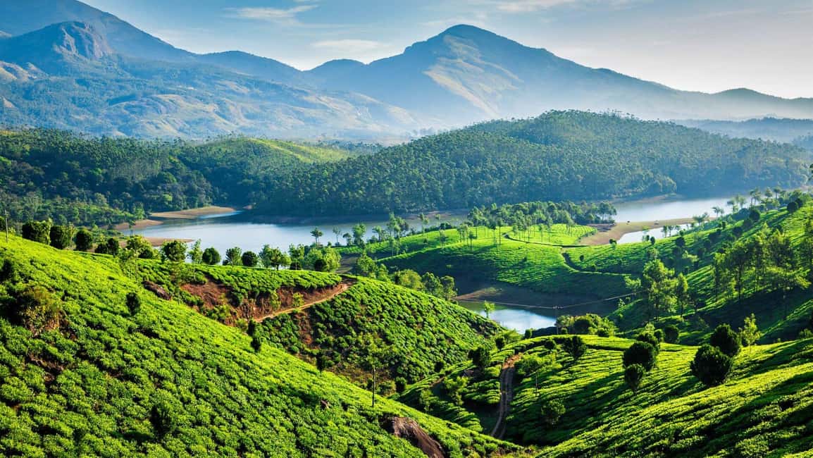 From Kochi: 3-Day Periyar Wildlife Sanctuary Tour - Day 2 morning safari: look for elephants, deer, and maybe more