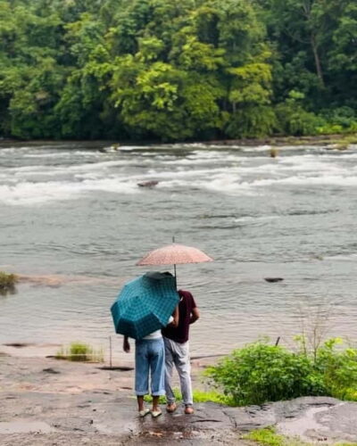 From Kochi: Athirappilly Waterfalls Day Trip with Transfers - Getting from Ernakulam: the drive through rural Kerala