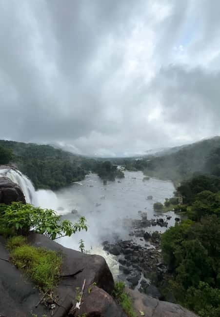 From Kochi: Athirappilly Waterfalls Day Trip with Transfers - Wildlife and birds: what you can realistically hope to spot