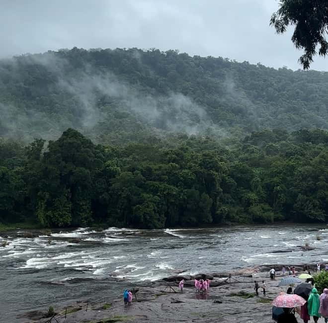 From Kochi: Athirappilly Waterfalls Day Trip with Transfers - Local guidance: how the English-speaking driver improves the day