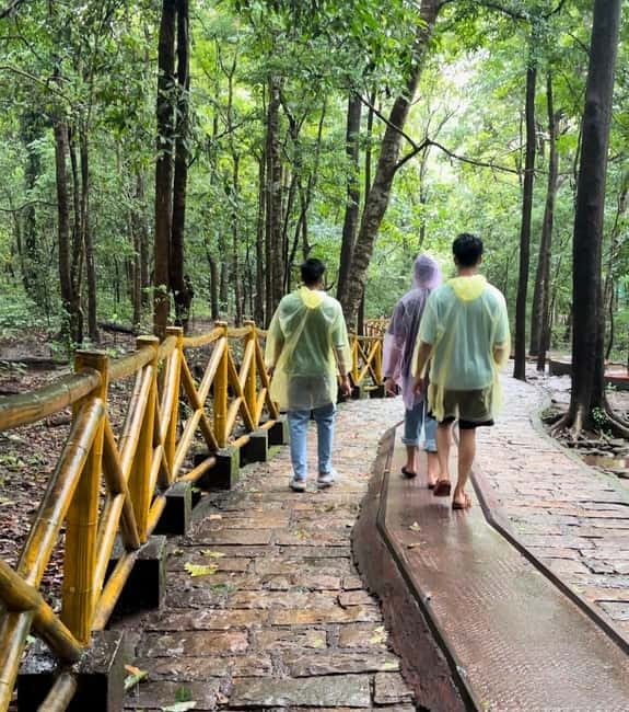 From Kochi: Athirappilly Waterfalls Day Trip with Transfers - What to pack for comfortable waterfall time (and fewer regrets)