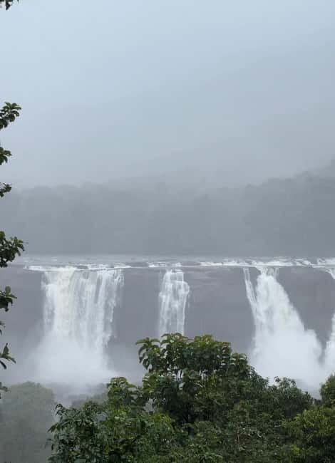 From Kochi: Athirappilly Waterfalls Day Trip with Transfers - Quick practical notes before you go