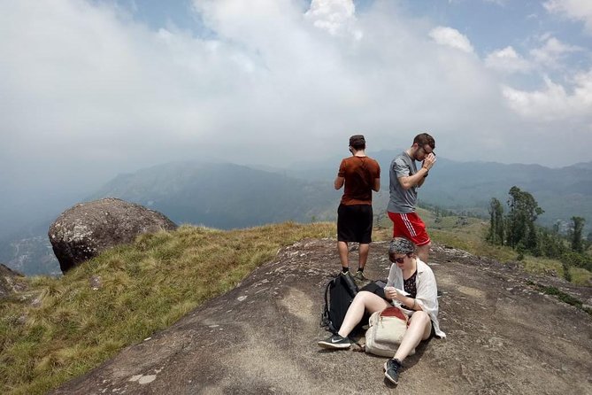 Full day in hiking in Munnar (By Munnar Info) - Key Highlights Worth Your Time