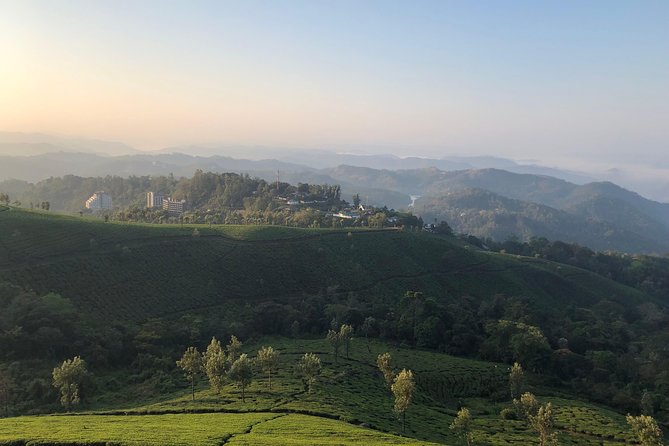 Full day in hiking in Munnar (By Munnar Info) - What This Munnar Hike Is Actually Like