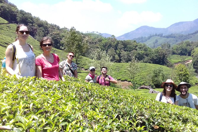 Full day in hiking in Munnar (By Munnar Info) - Tea Gardens, Canandevan-Style Walking, and the Slowest Kind of Workout
